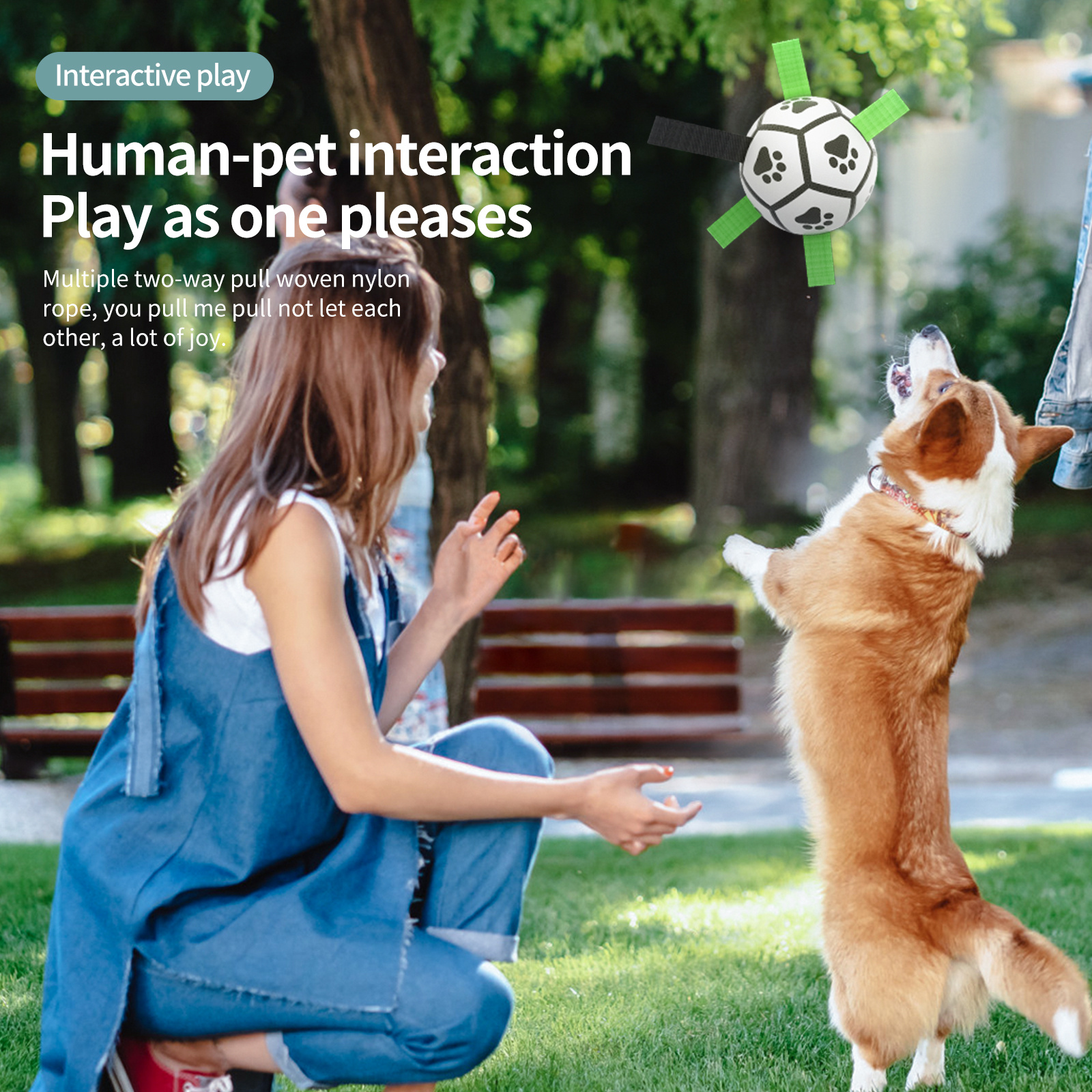 Ballon de Football Interactif pour Chiens – Jouet d’Entraînement et d’Extérieur – Image 6